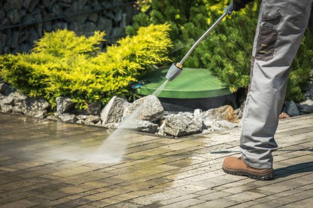 Best Animal Enclosure Cleaning  in Woodsboro, TX